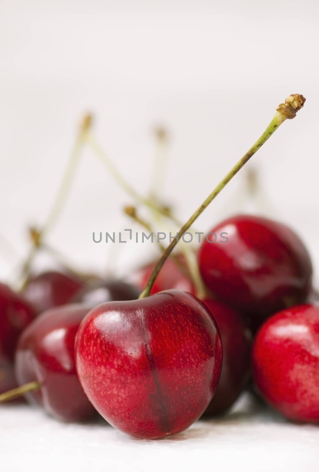 fresh cherries close up