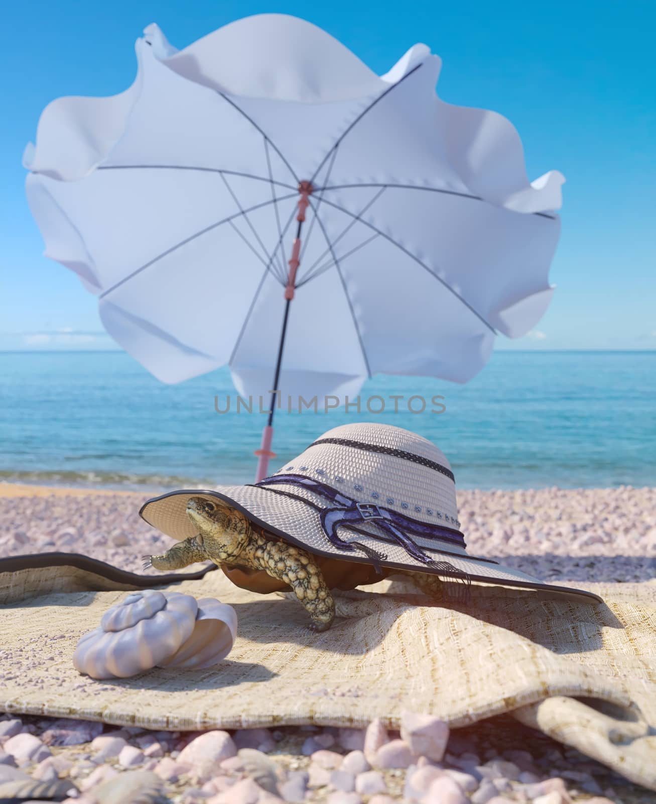 relaxing vacation concept background with seashell,umbrella, turtle and beach accessories