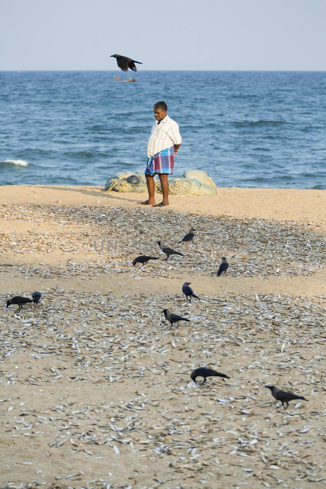 Pondichery, Tamil Nadu, India - February 27, 2014 : Traditional fishermen on beach, on sea, on sand. Long boats, Hard work poor people