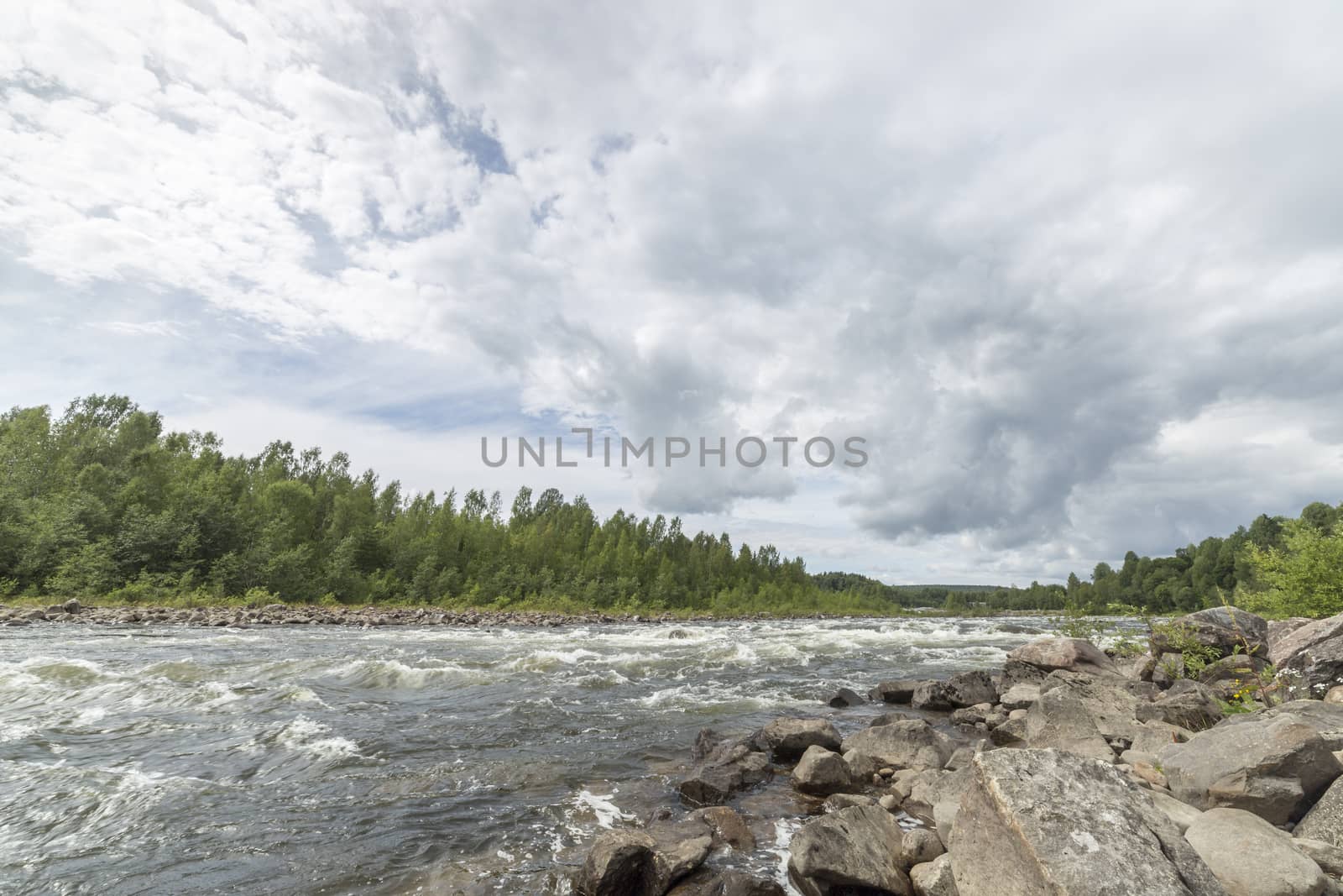 River with Forest and Cloudy Sky.