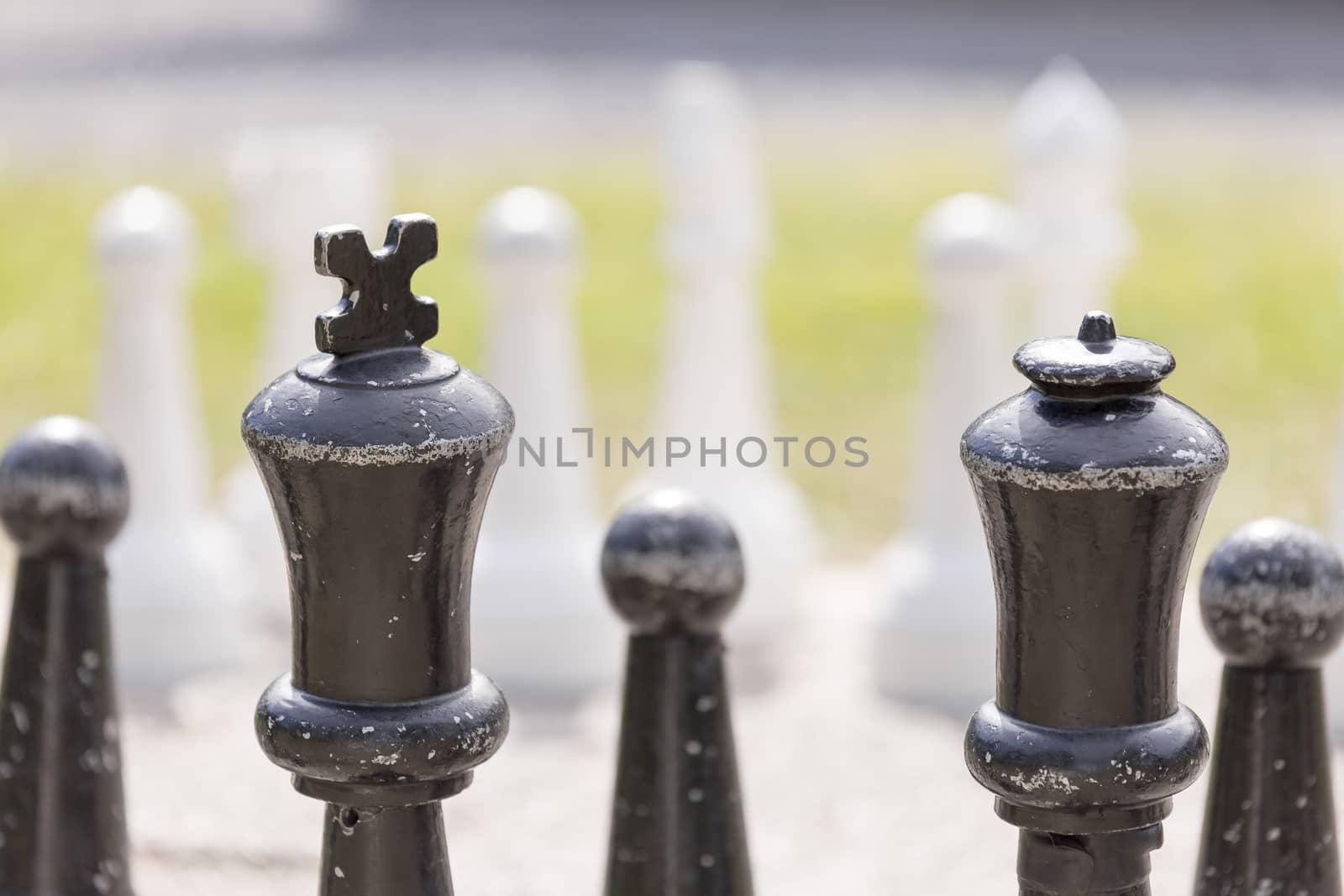 Chess Lawn Game with grass in the background.