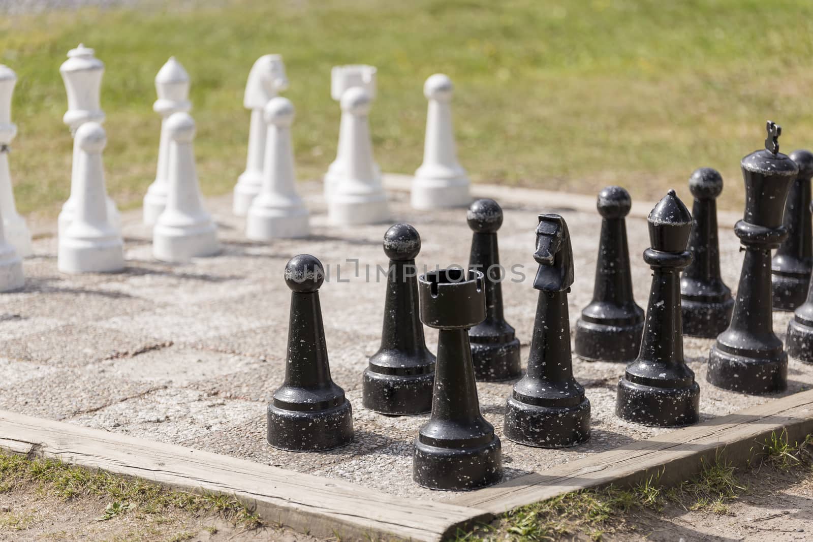 Chess Lawn Game with grass in the background.
