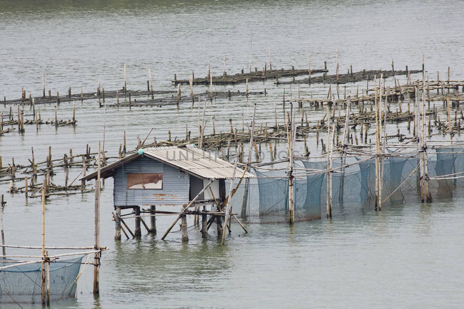 The coop for feeding fish in east of Thailand sea. by art9858