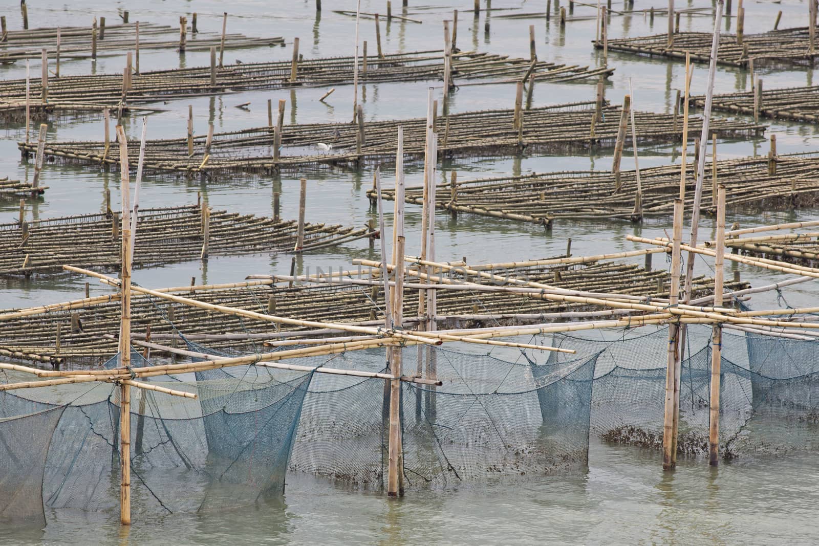 The coop for feeding fish in east of Thailand sea. by art9858