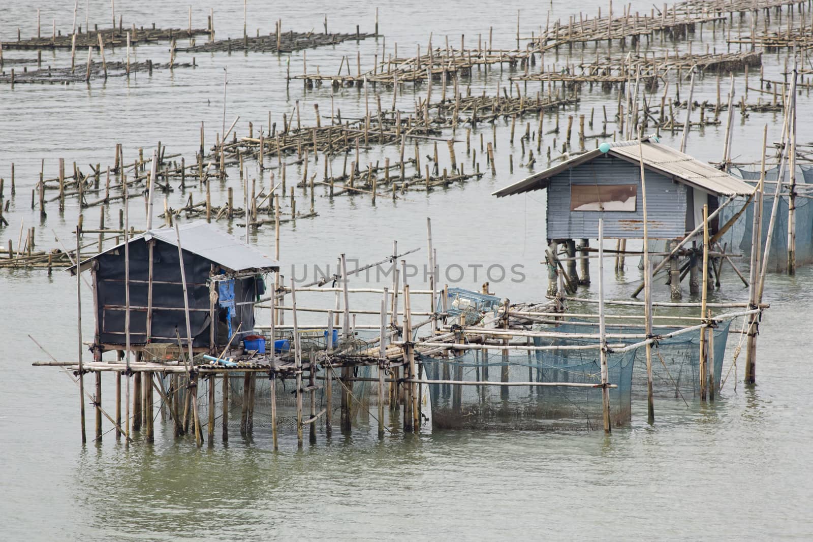 The coop for feeding fish in east of Thailand sea. by art9858