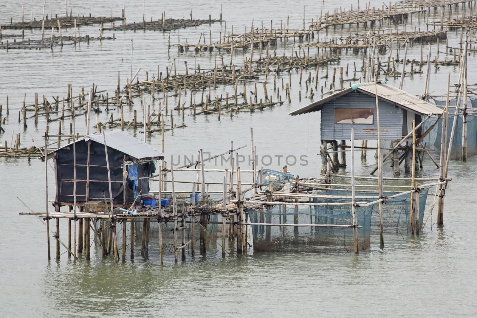 The coop for feeding fish in east of Thailand sea.