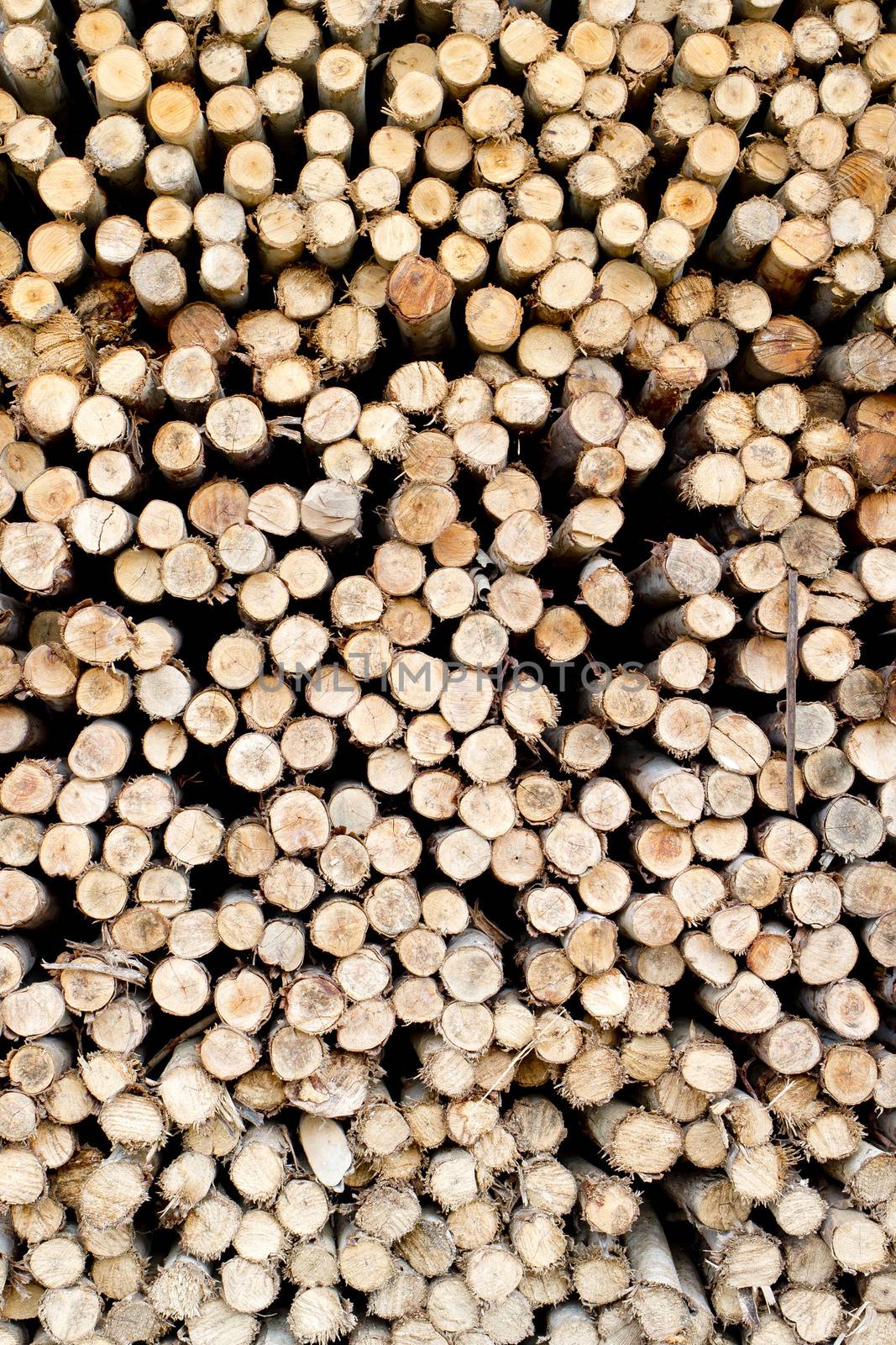 Saw timber prepared for winter heating season