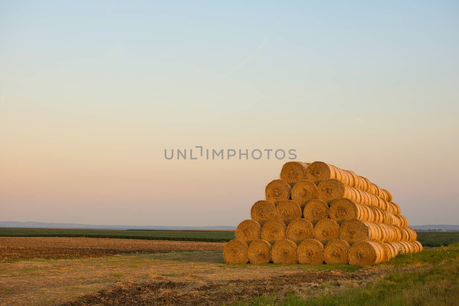 Bales of Hay Rolled Into Stacks in the Field. Rolls of Wheat in the Grass. Bales of straw.