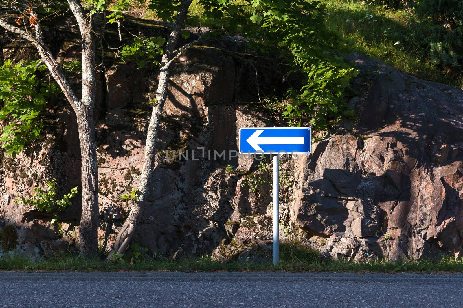 Blue road sign with left arrow on the side of the road.