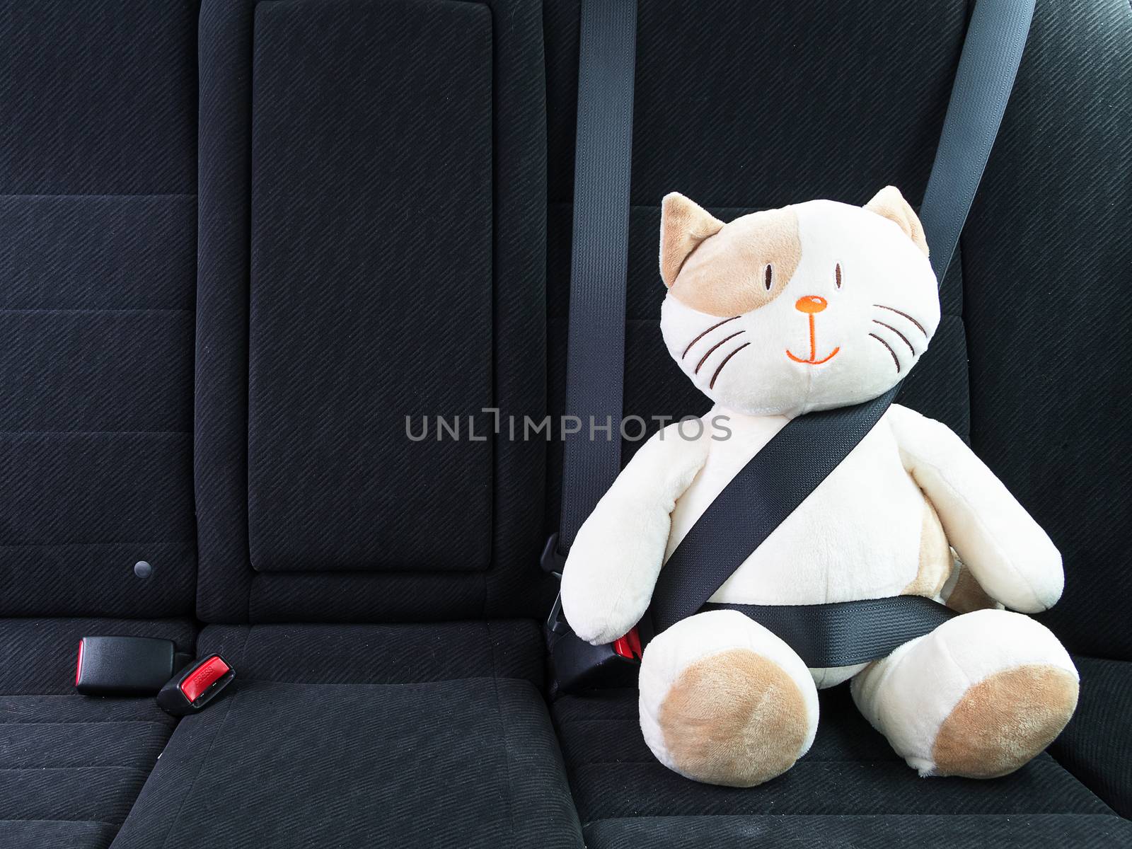 Plush toy cat strapped in with seat belt in back seat of car. Safety on the road. Protection concept.