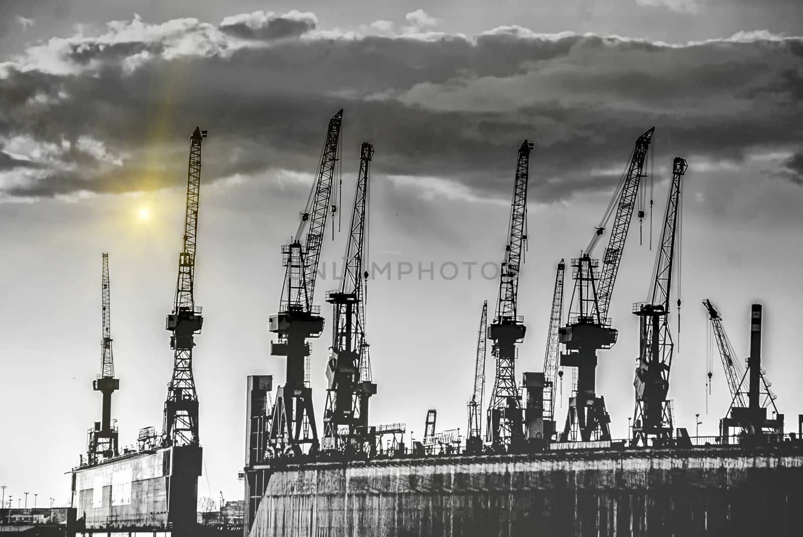 Hamburg harbor cranes by Fr@nk