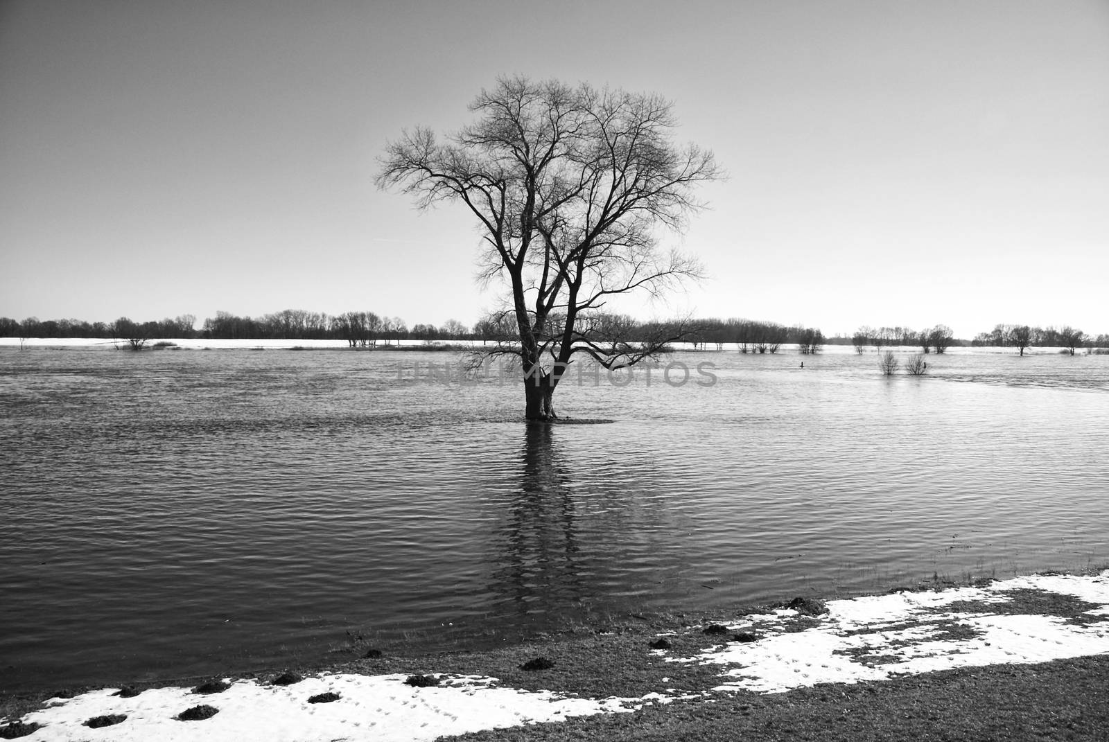 Elbe in Winter , Schleswig-Holstein, Germany







SONY DSC