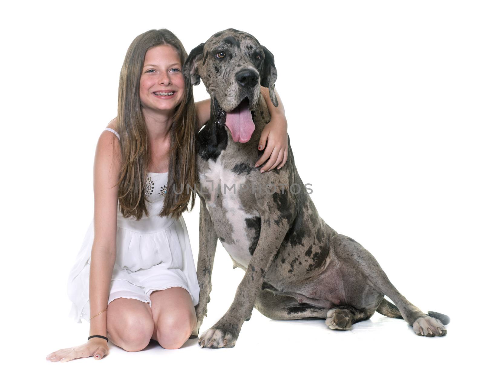 Great Dane and child in front of white background