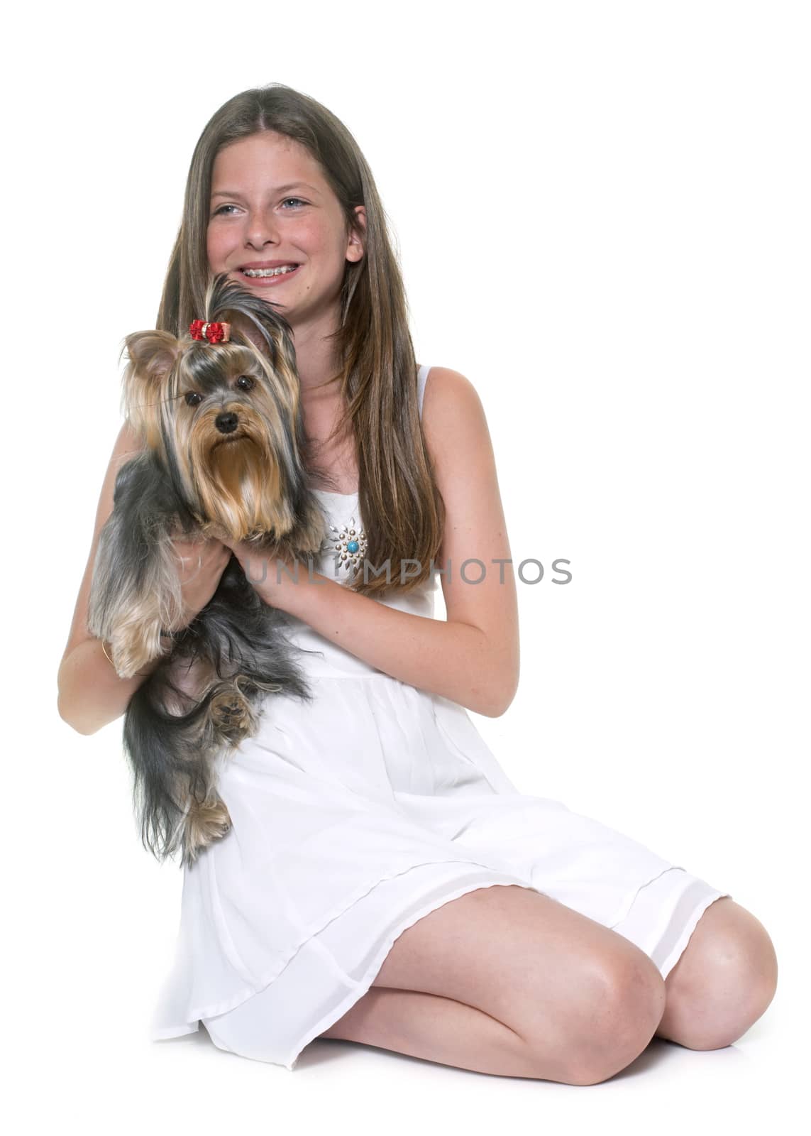 young yorkshire terrier and child by cynoclub