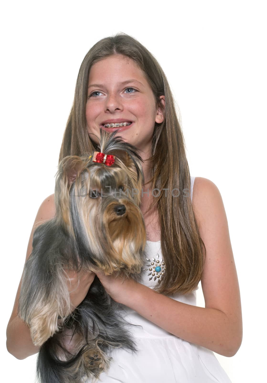 young yorkshire terrier and child by cynoclub