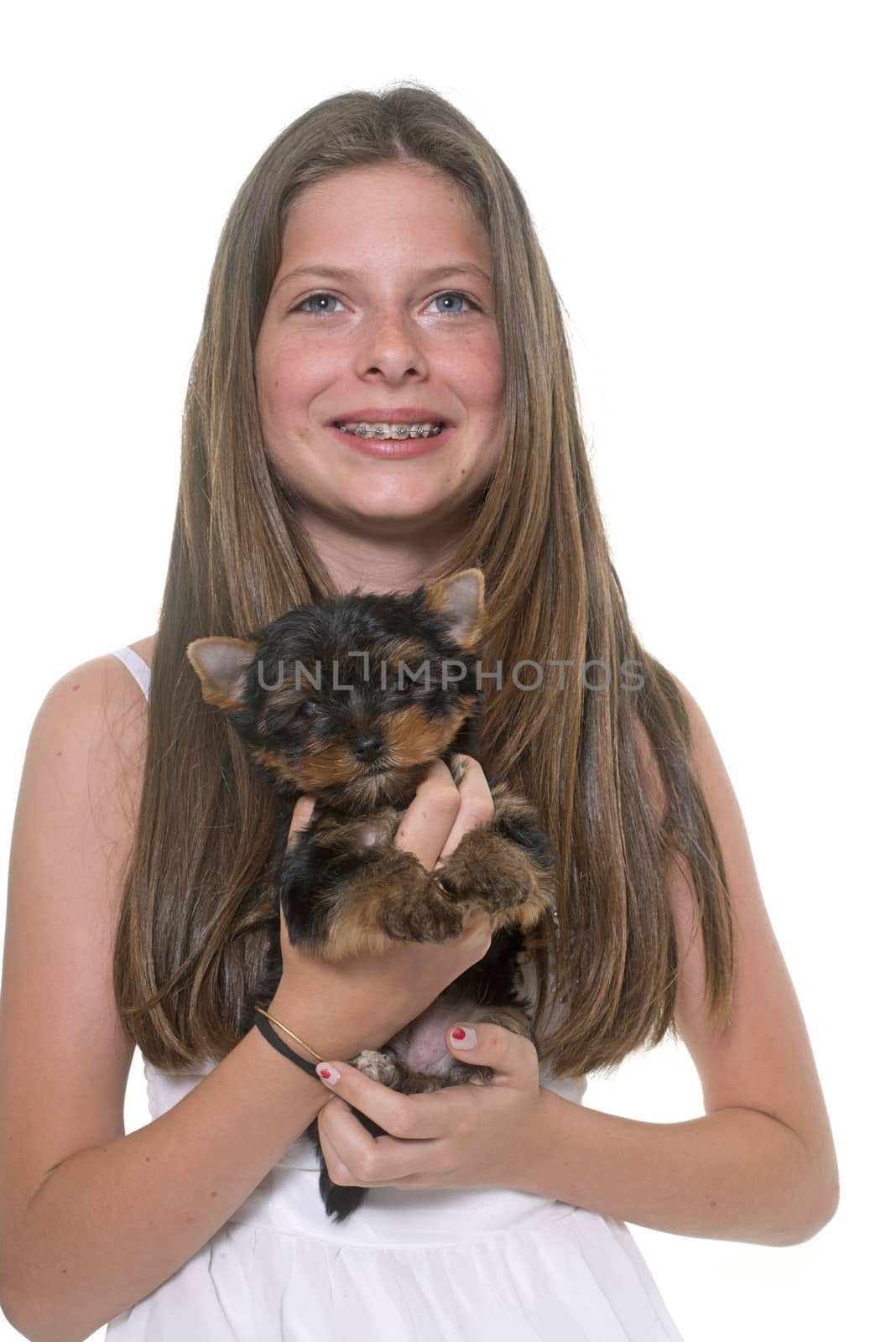 young yorkshire terrier and child in front of white background