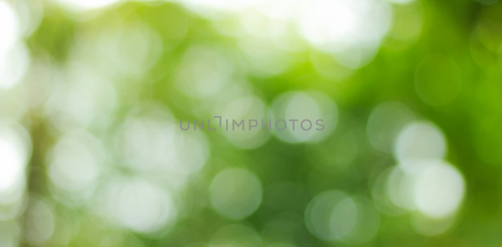 abstract blur of natural by AEyZRiO