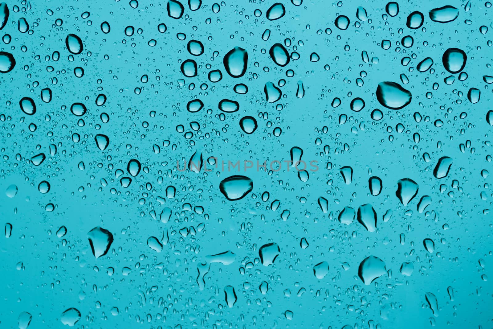 rain drops on a window glass. Shallow DOF