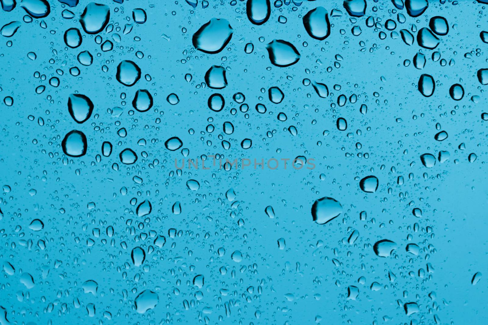 rain drops on a window glass. Shallow DOF