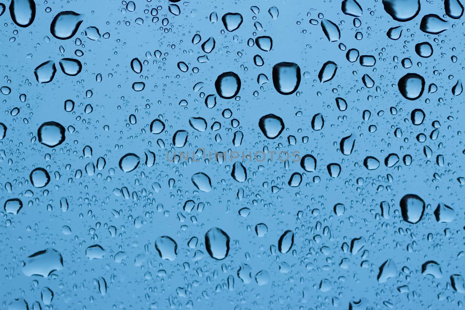 rain drops on a window glass. Shallow DOF