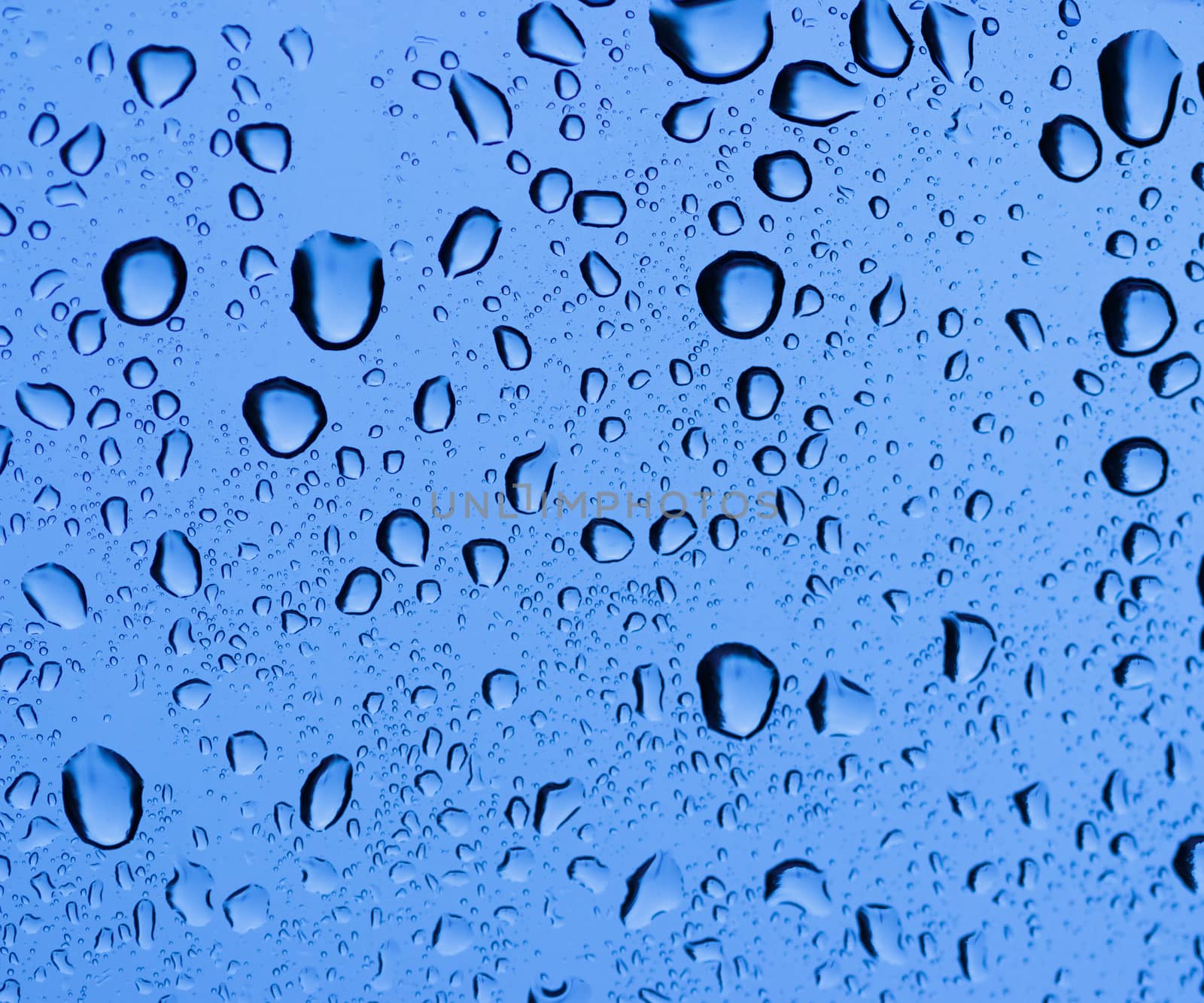 rain drops on a window glass. Shallow DOF