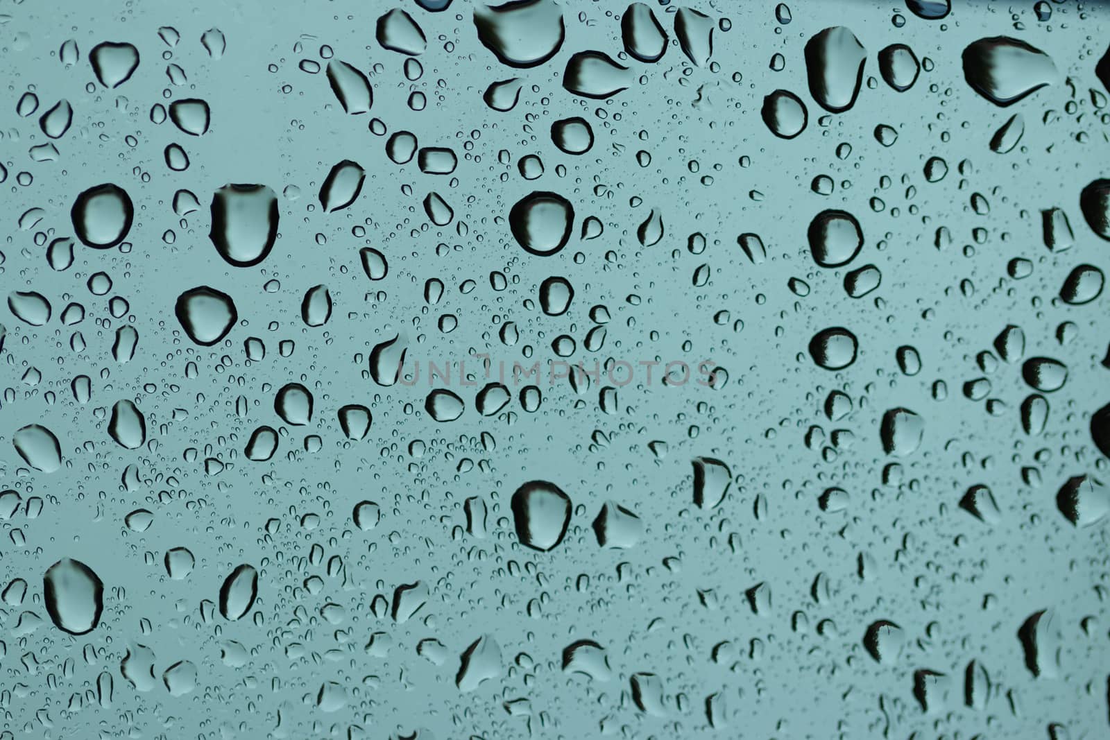 rain drops on a window glass. Shallow DOF