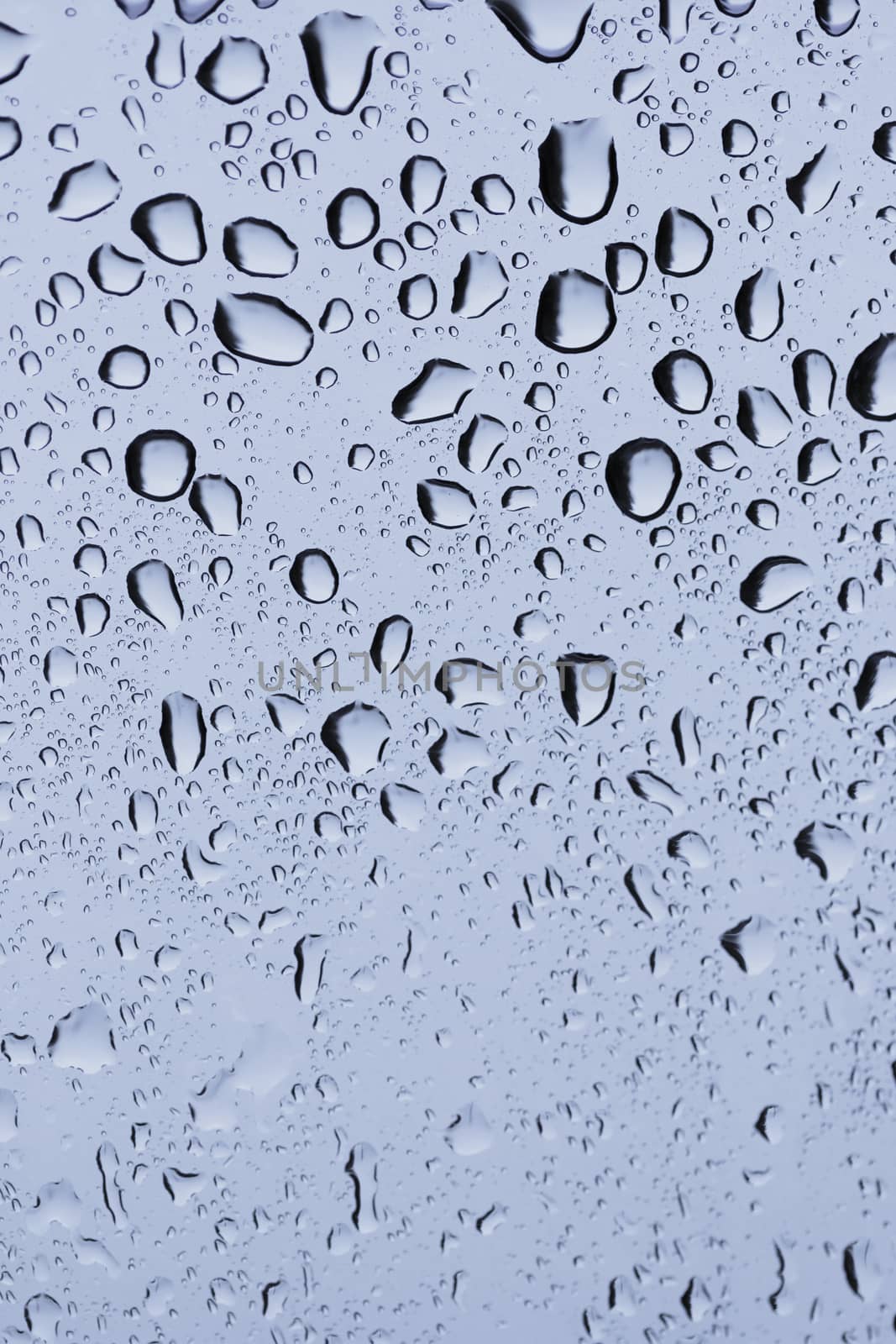 rain drops on a window glass. Shallow DOF