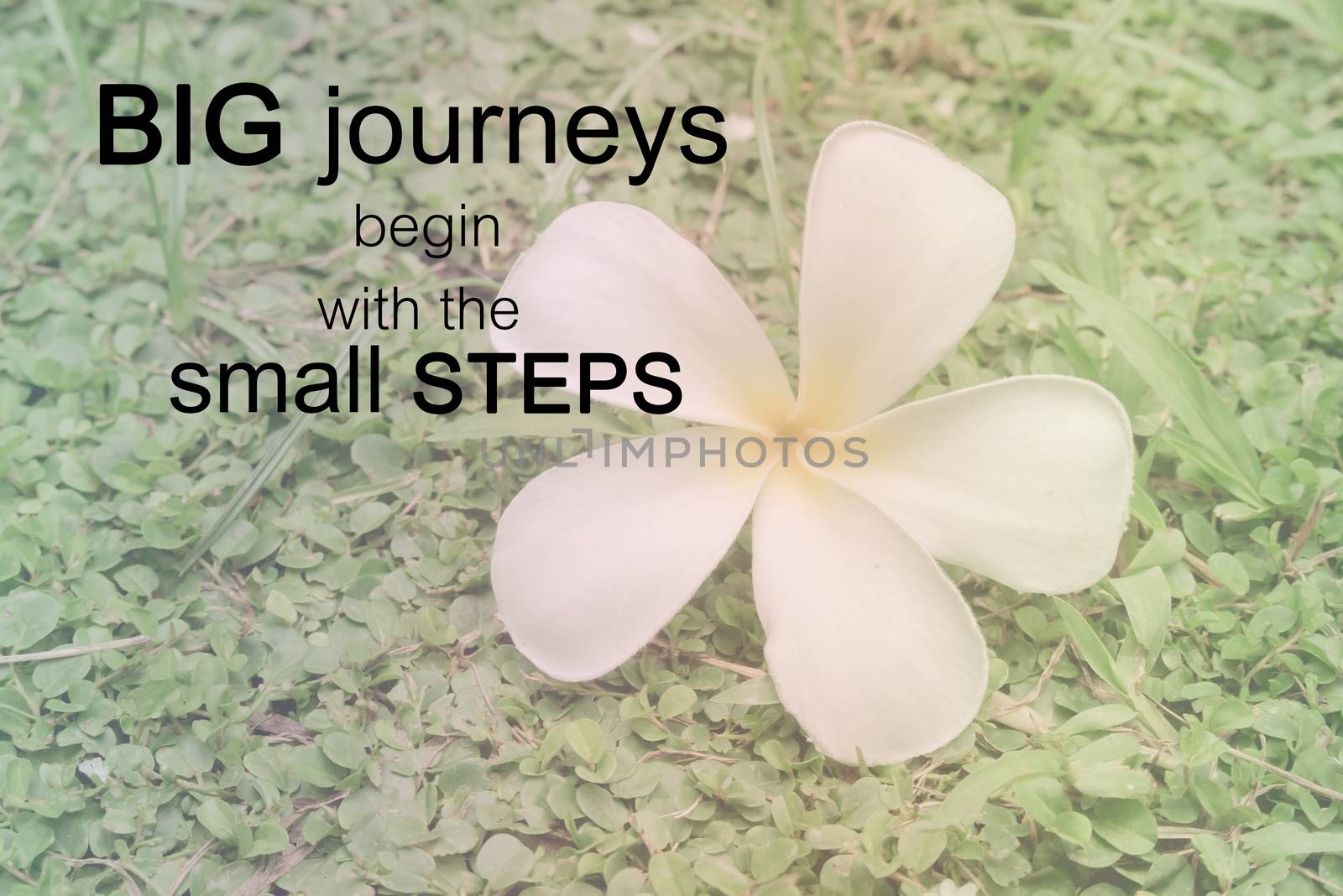 Word  Big journeys begin with the small steps.Inspirational motivational quote on white plumeria on the ground - Vintage Filter Effect by phatpc