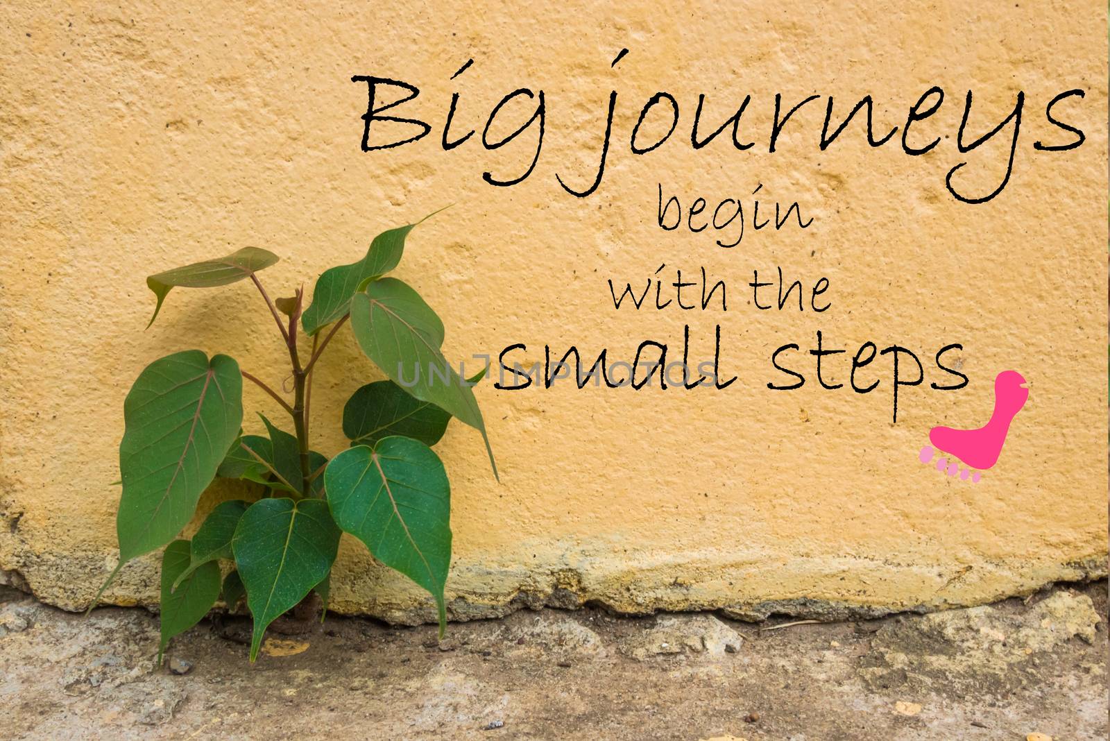 Word  Big journeys begin with the small steps.Inspirational motivational quote on old stone wall with tree for background by phatpc