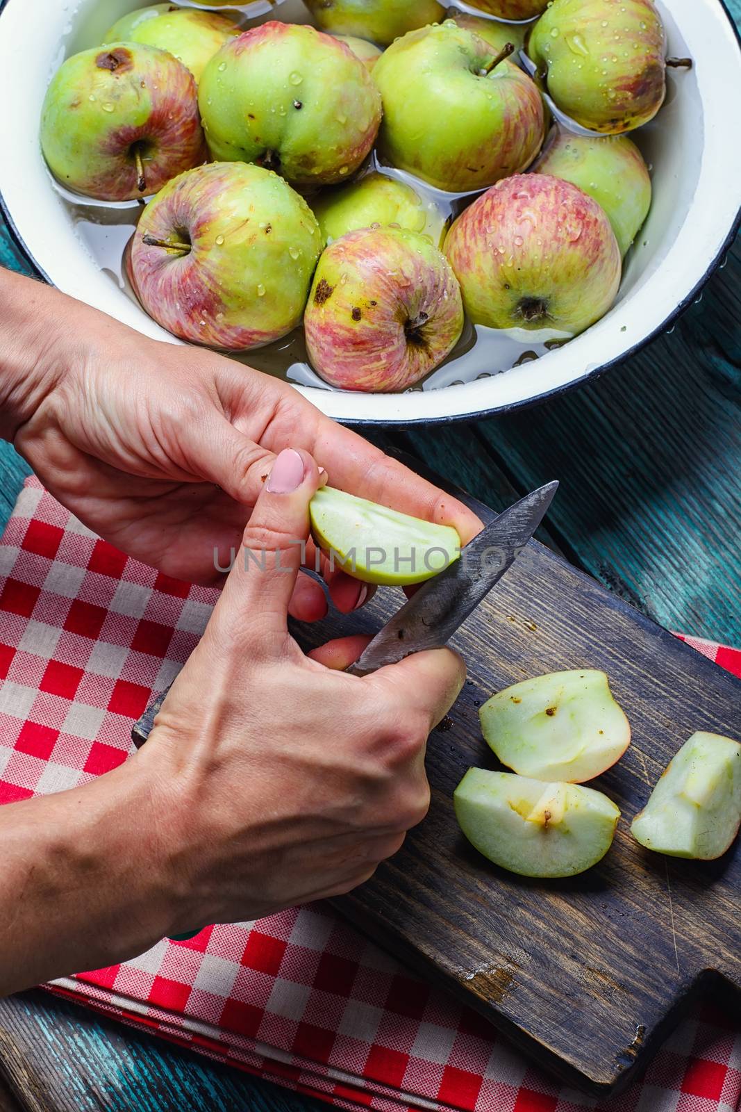 Washing and cutting of the crop of autumn apples