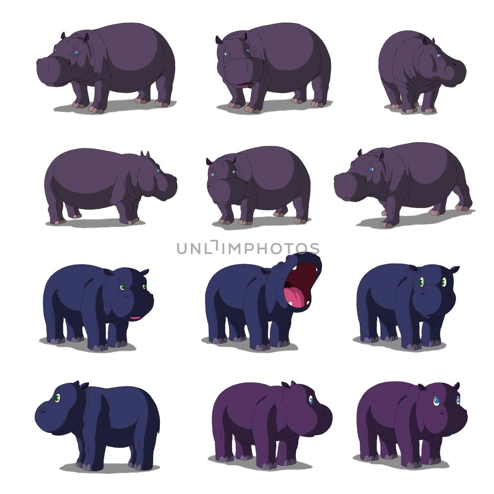 African Hippo Isolated on White Background by Multipedia