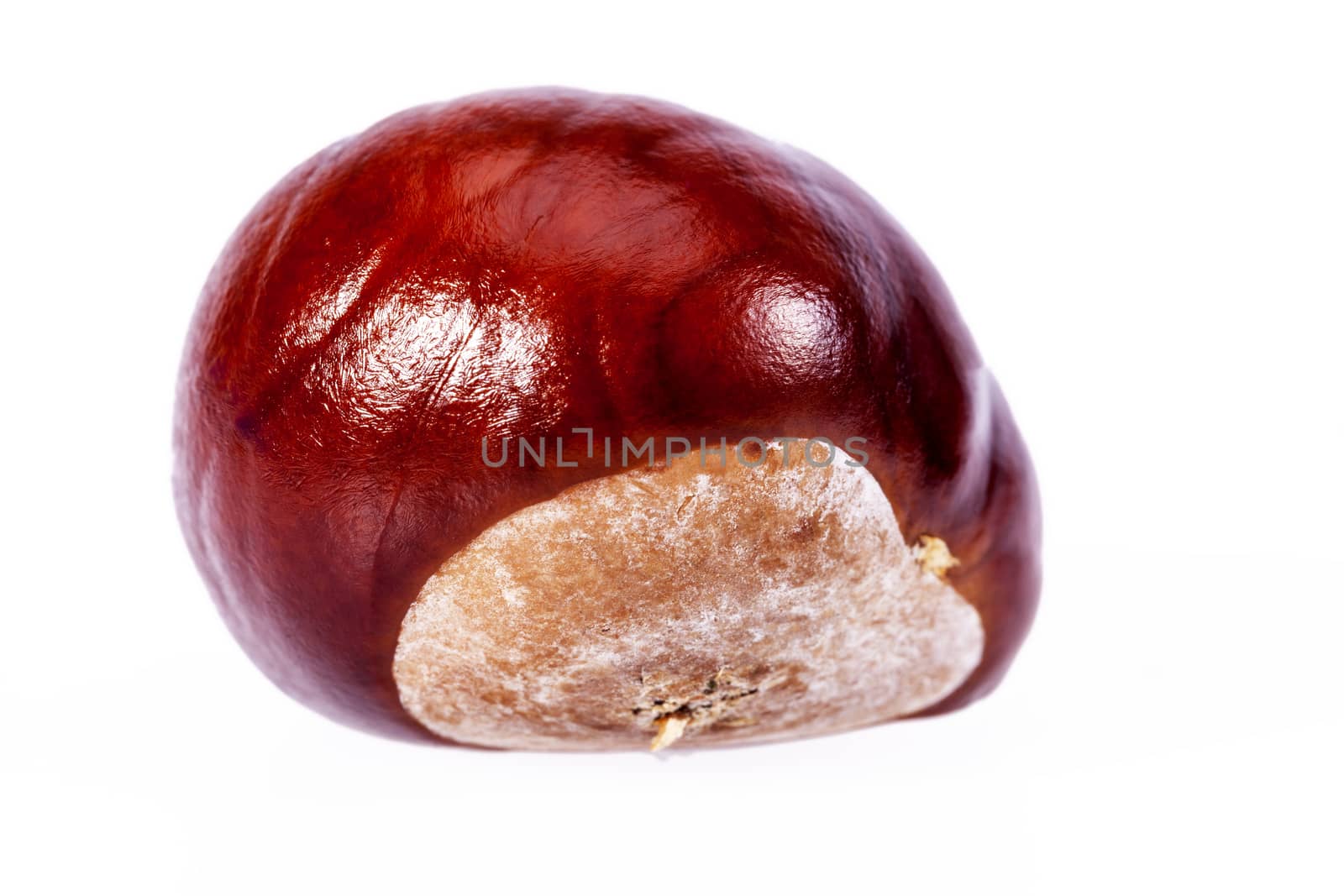 Single chestnuts  isolated on white background, close up.