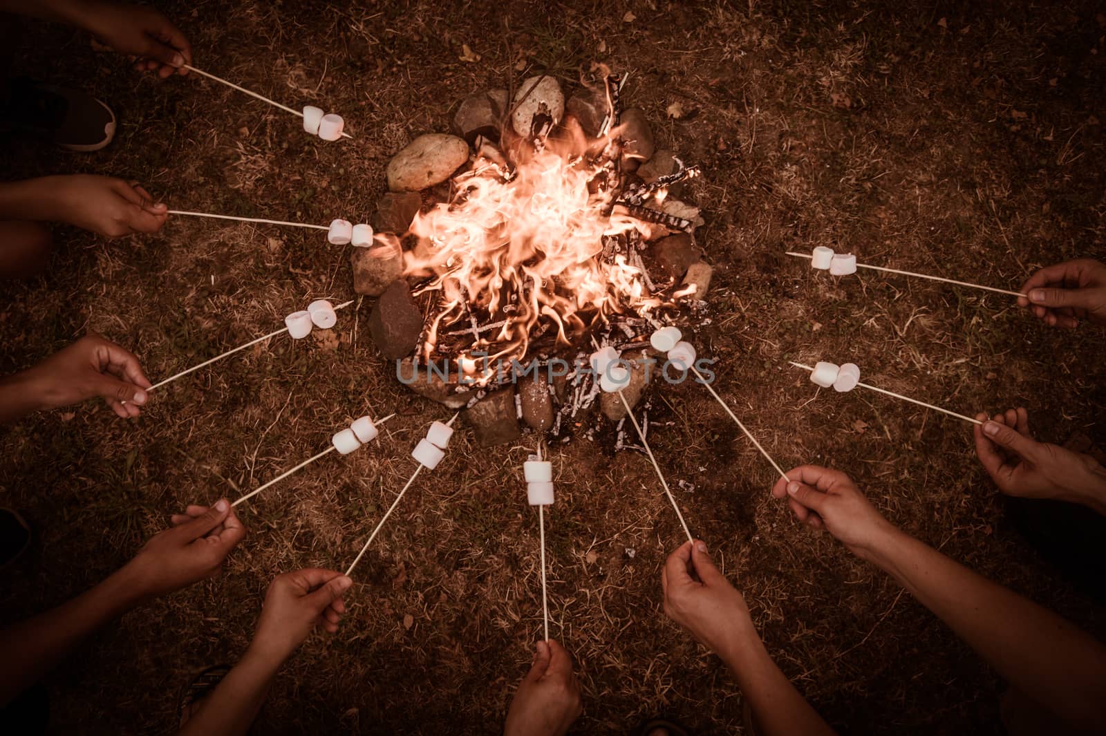 Close-up of marshmallows roasting in campfire in forest