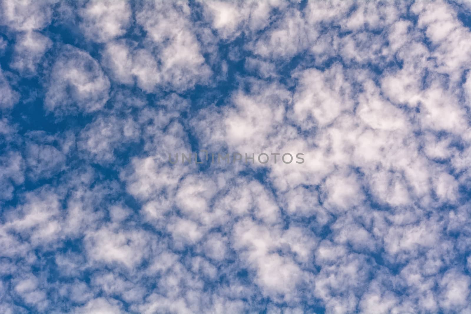 blue sky background with a tiny clouds