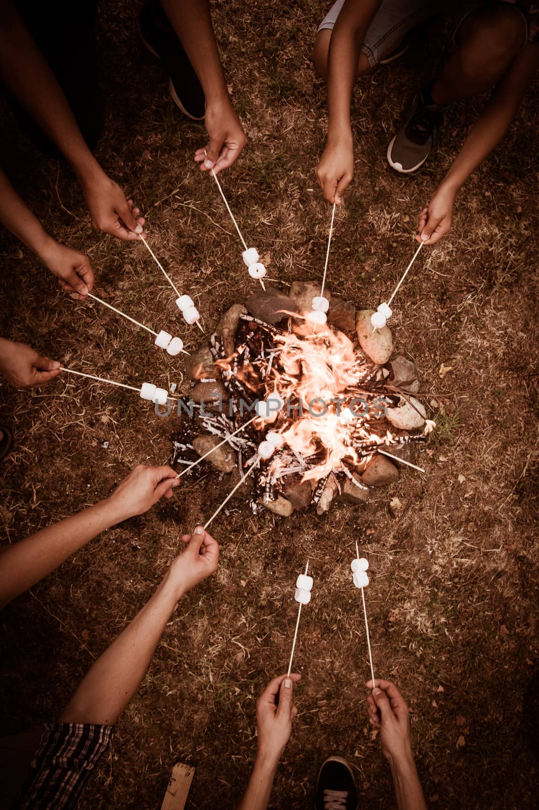 Close-up of marshmallows roasting in campfire in forest