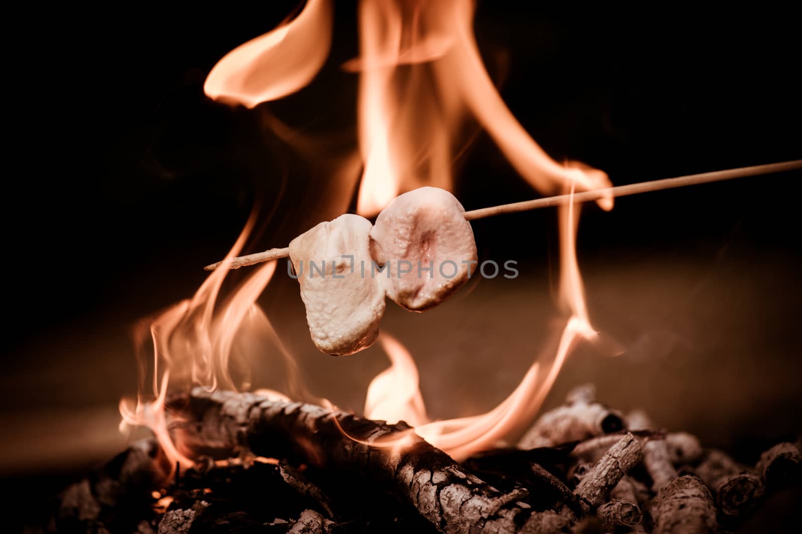Close-up of marshmallows roasting in campfire in forest
