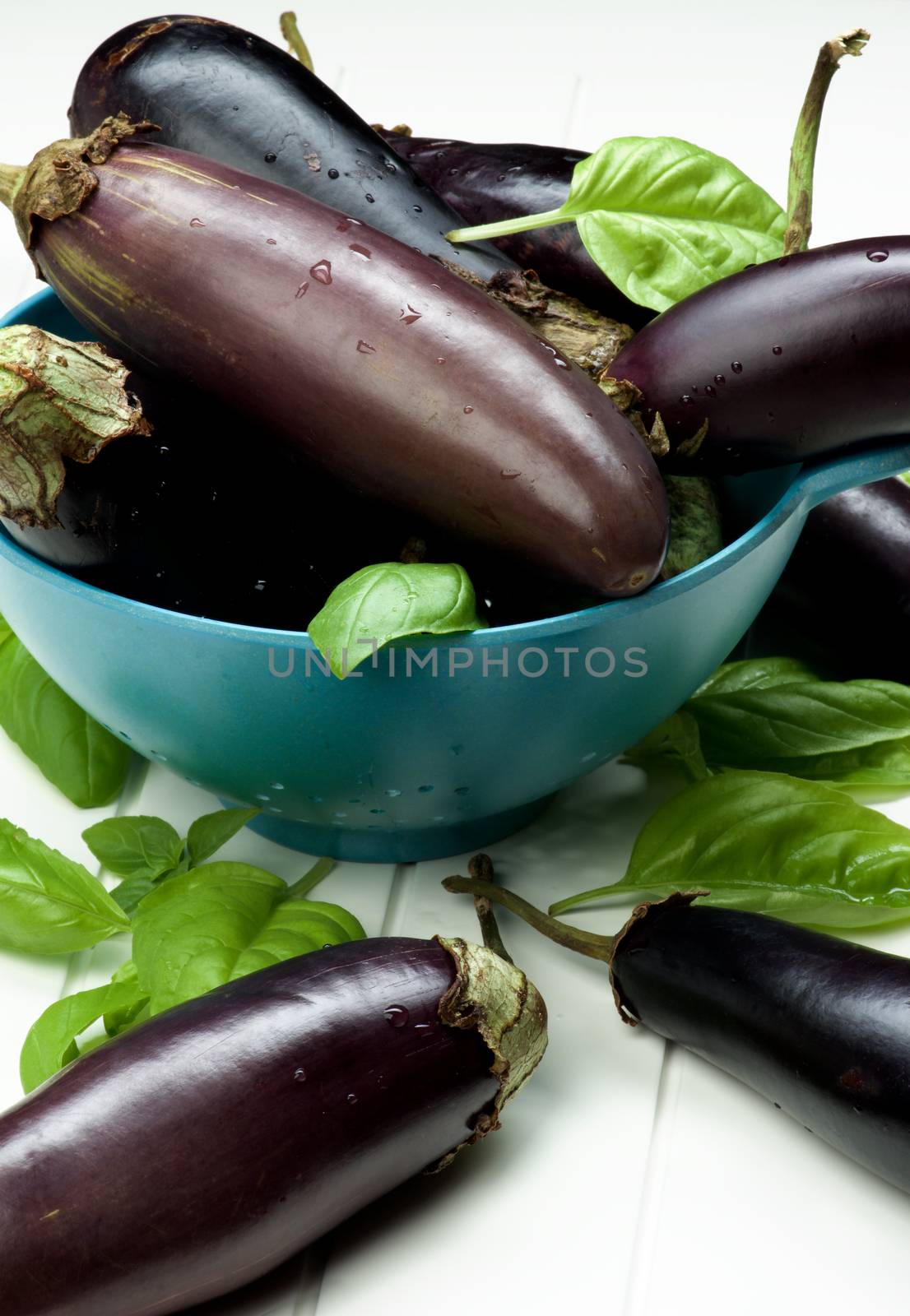 Blue Colander Full of Fresh Raw Small Eggplants and Basil Leafs closeup on White Plank background
