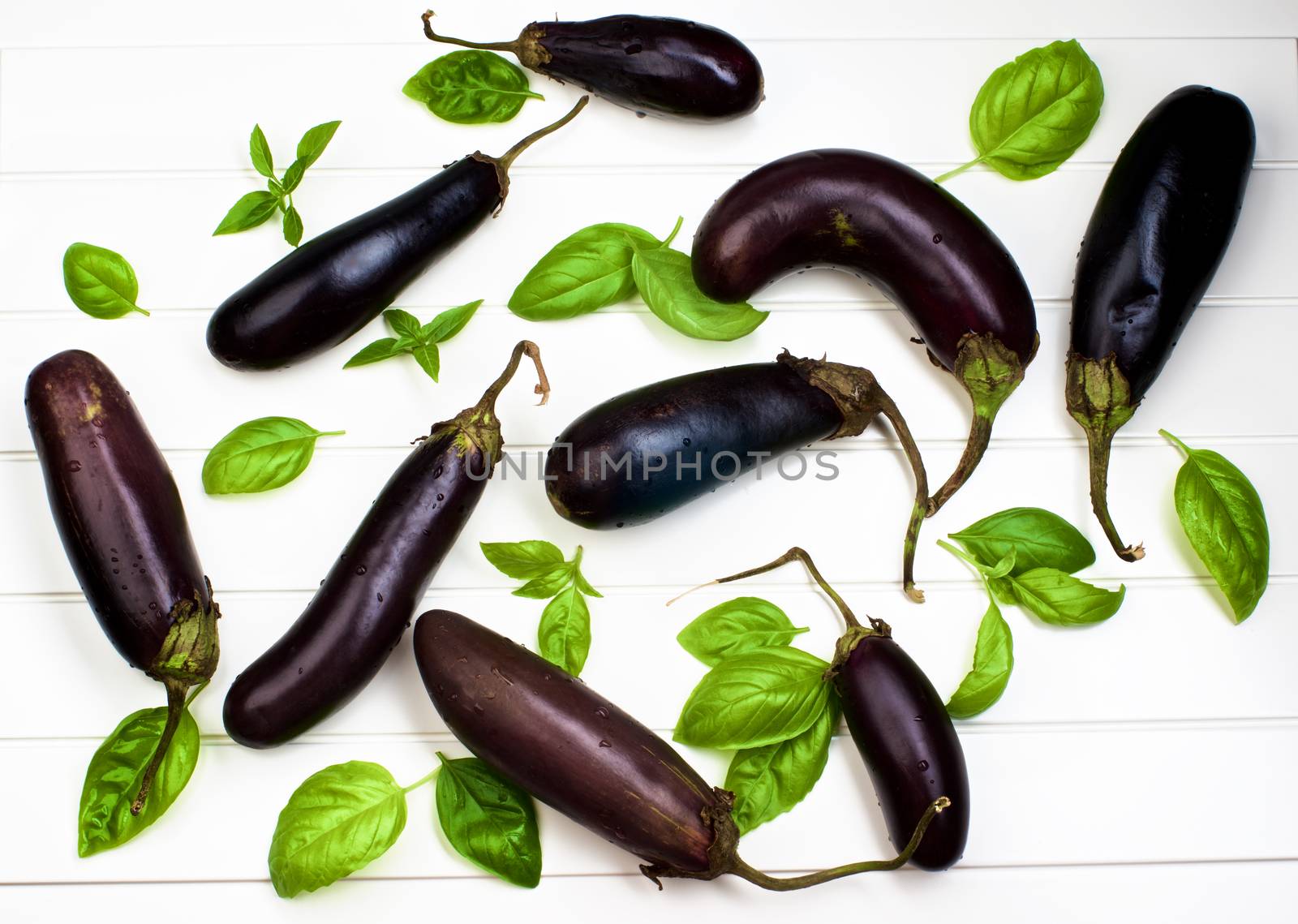 Arrangement of Fresh Raw Small Eggplants and Green Basil Leafs closeup on White Plank background. Top View as Background