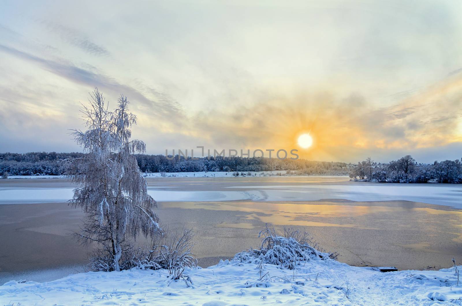 Winter evening landscape with a lake and trees in the frost