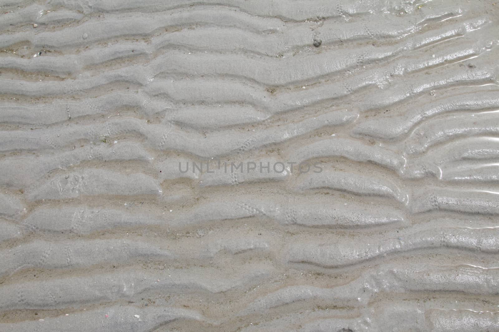 Sand Texture