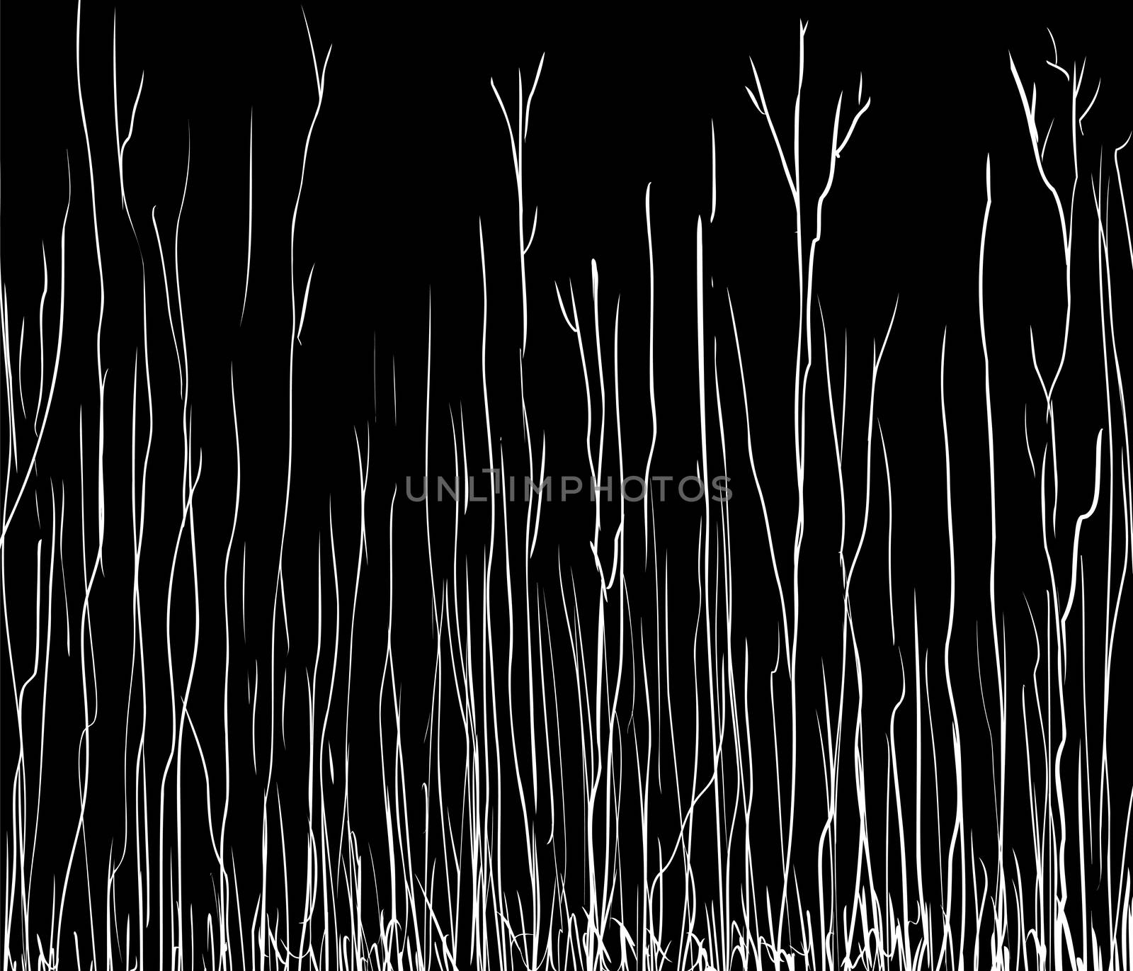 Black outline illustration of lanky tall bare tree branches