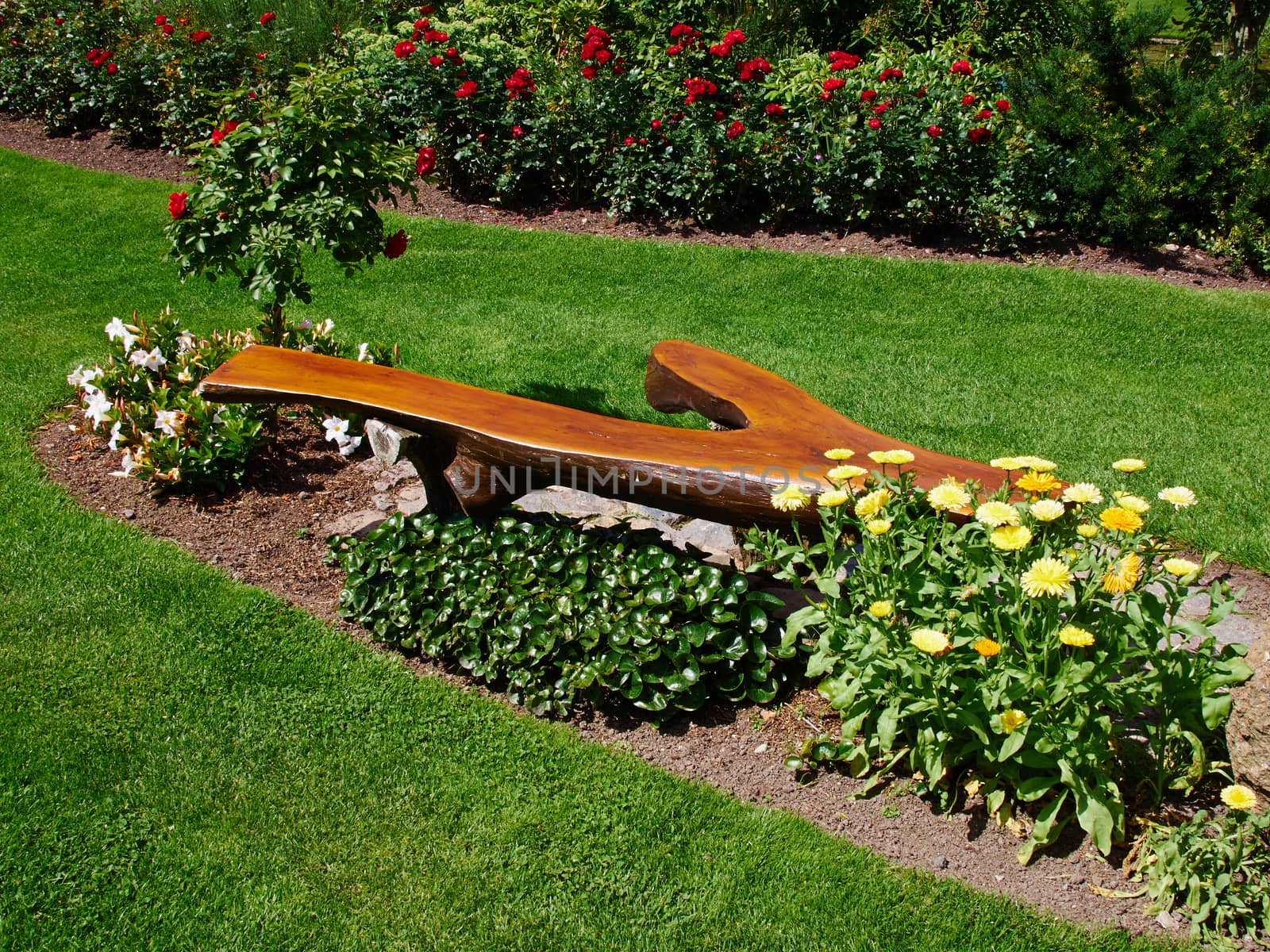 Beautiful creative wooden bench in a lush green blooming garden