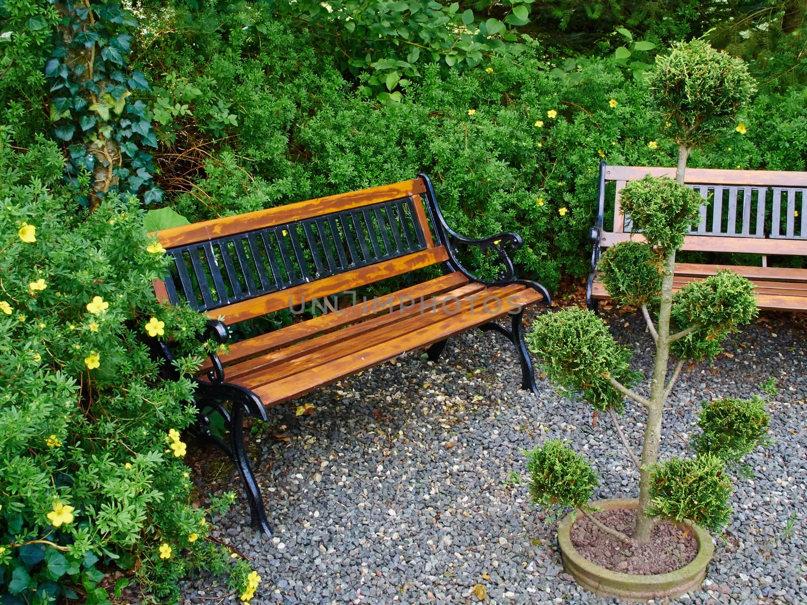 Beautiful creative wooden bench in a lush green blooming garden