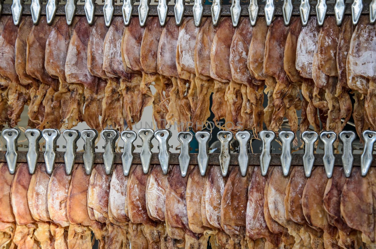 Dried squid Seafood of fisherman by worrayuth