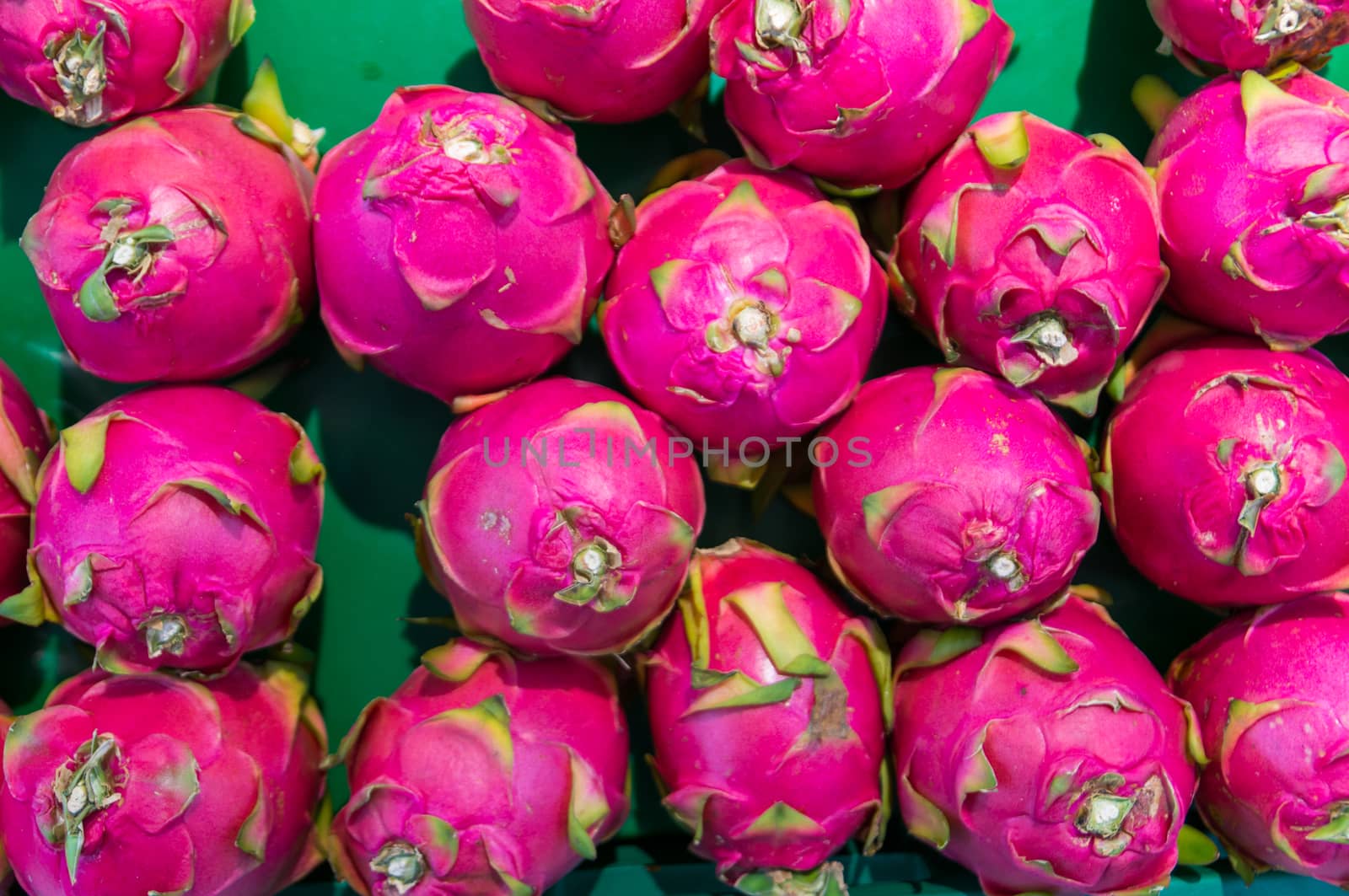 Dragon fruit on market stand, Thailand. by thampapon