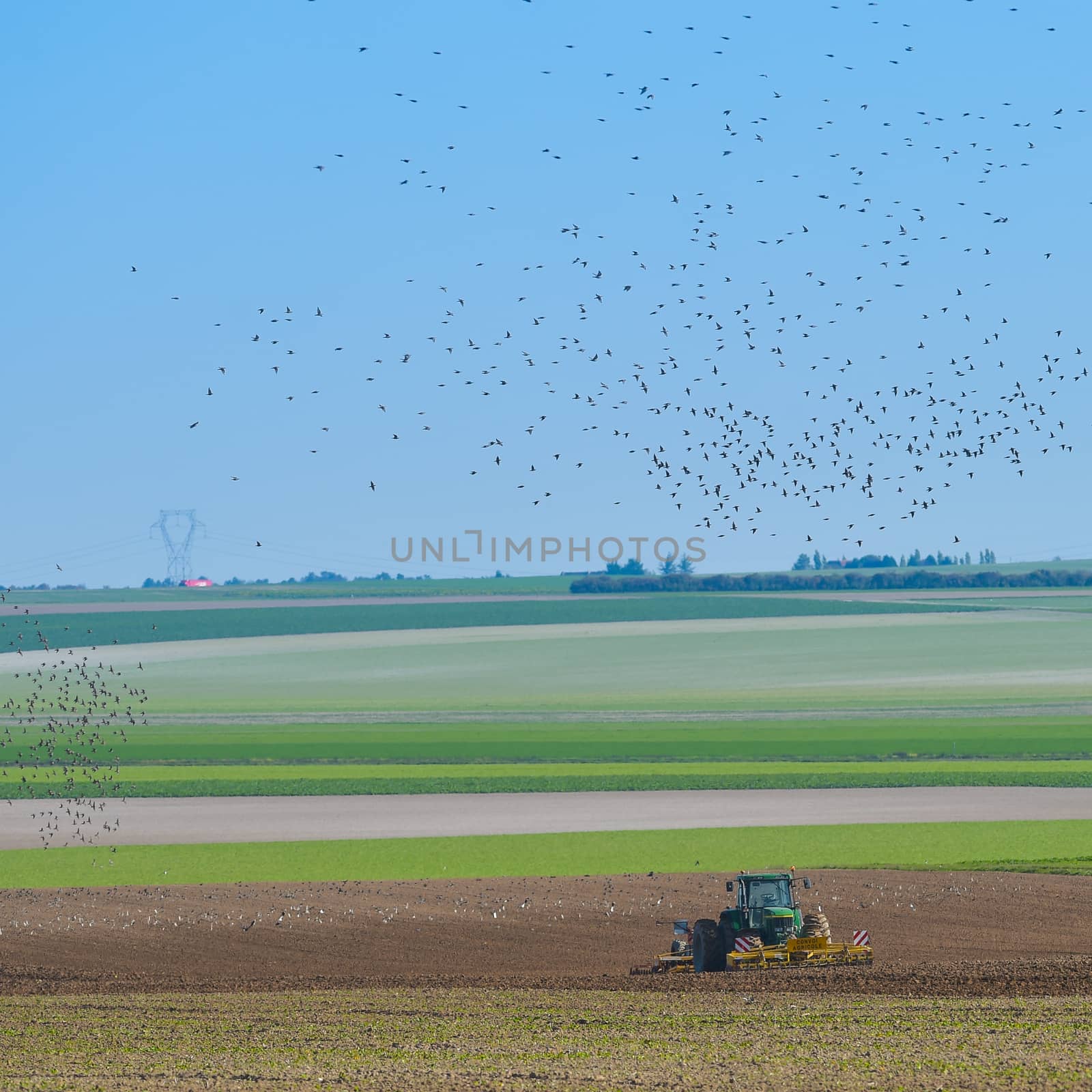 Tractor plowing the fields with a flock of birds above Champagne France Europe