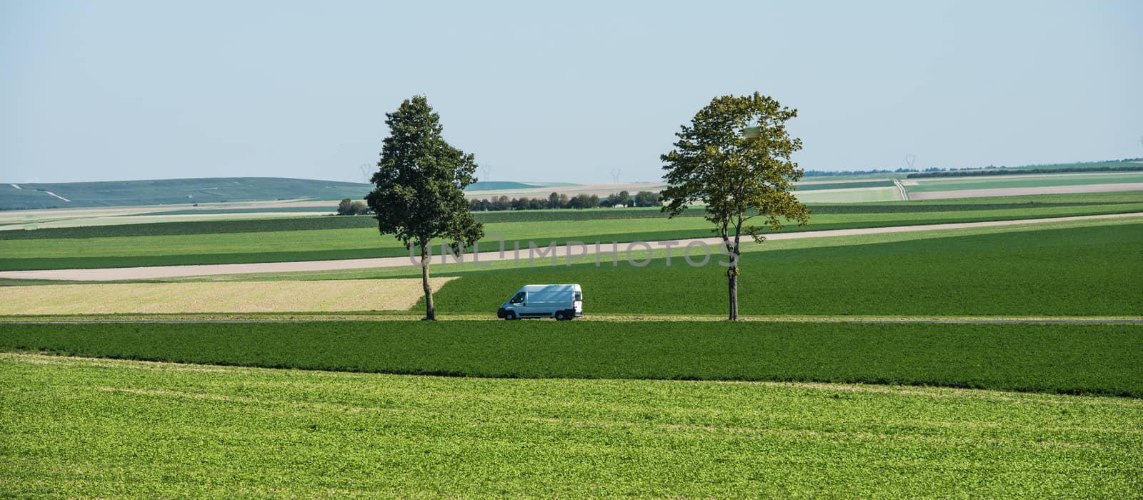 Car and Green trees in fields, blue sky, Champagne, France by FreeProd