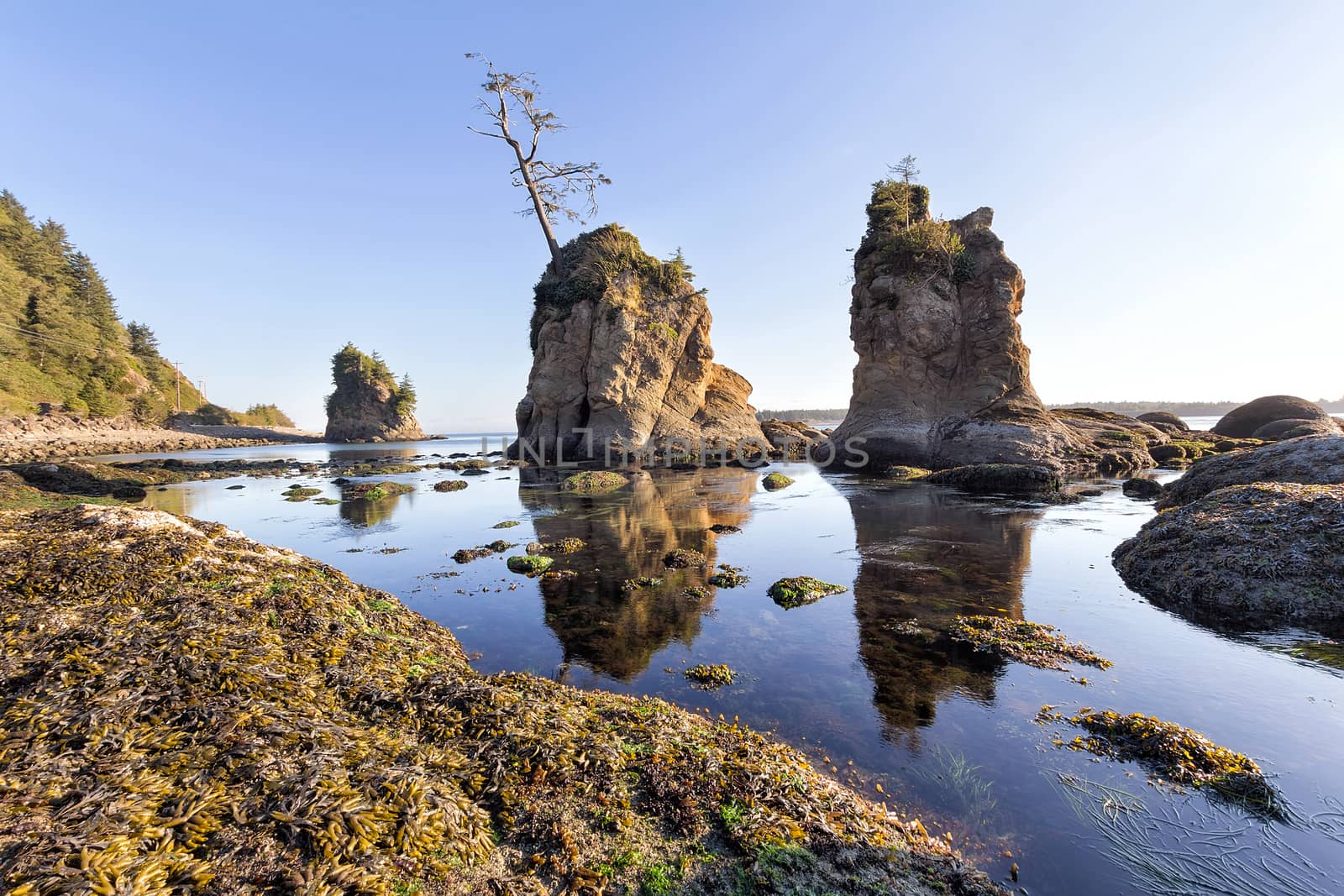 Three Graces rock formation at Garibaldi Oregon Coast during low tide