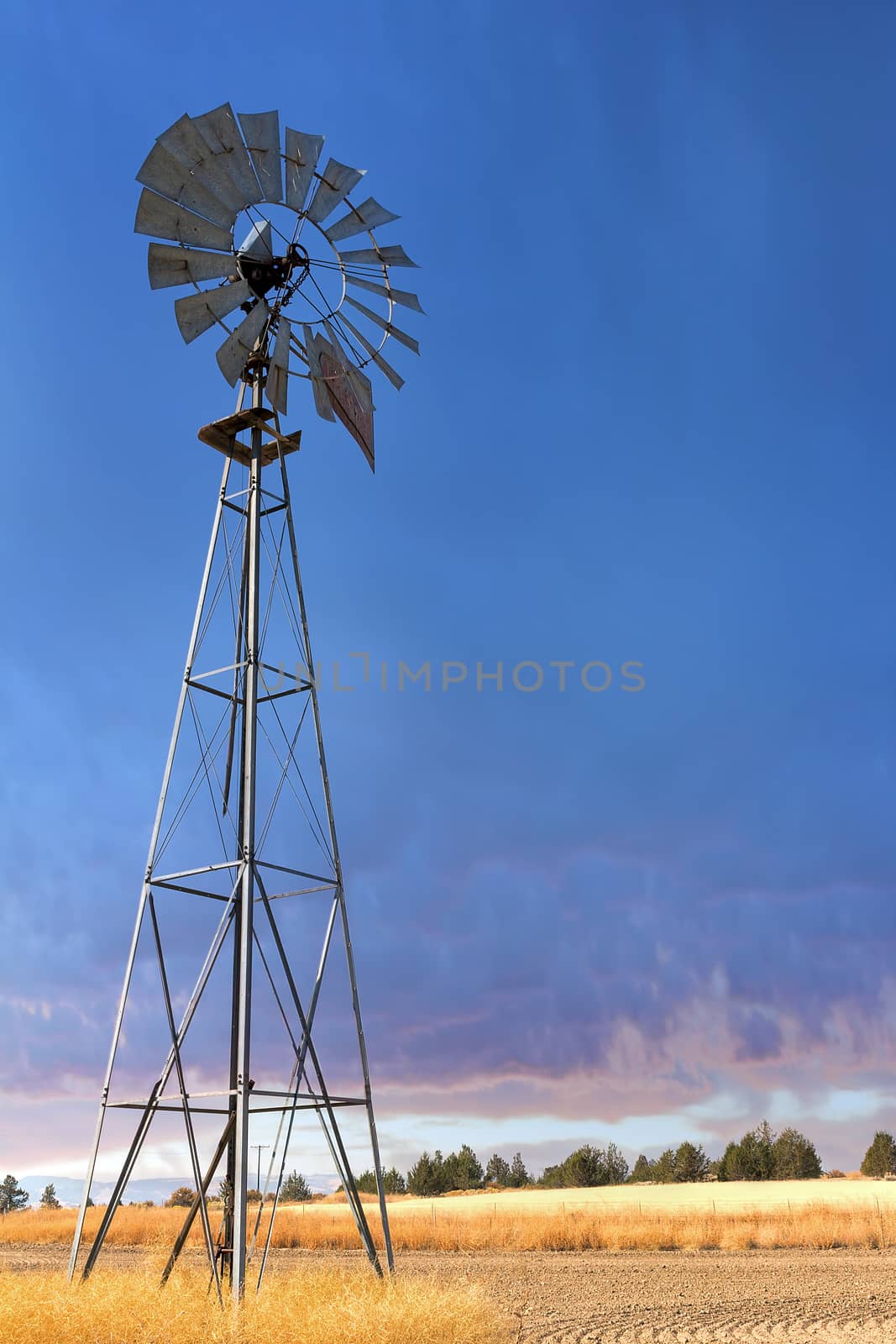 Windmill for Water Pump Well at Wheat Field in Central Oregon