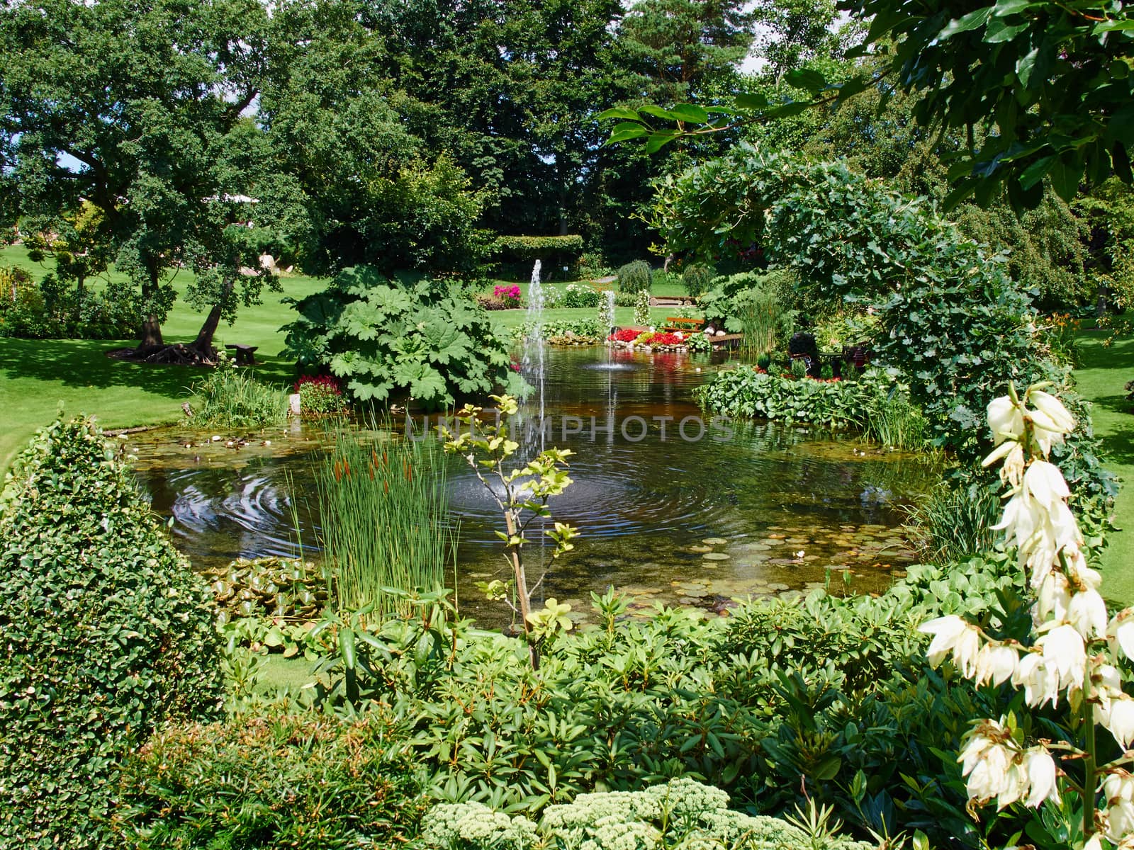 Ornamental pond and water fountain in a garden  by Ronyzmbow